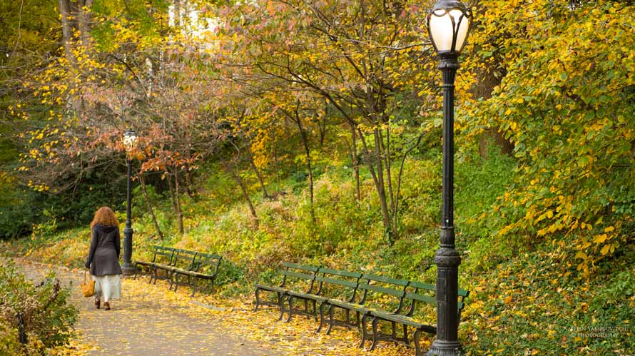 Central Park NY New Nueva York