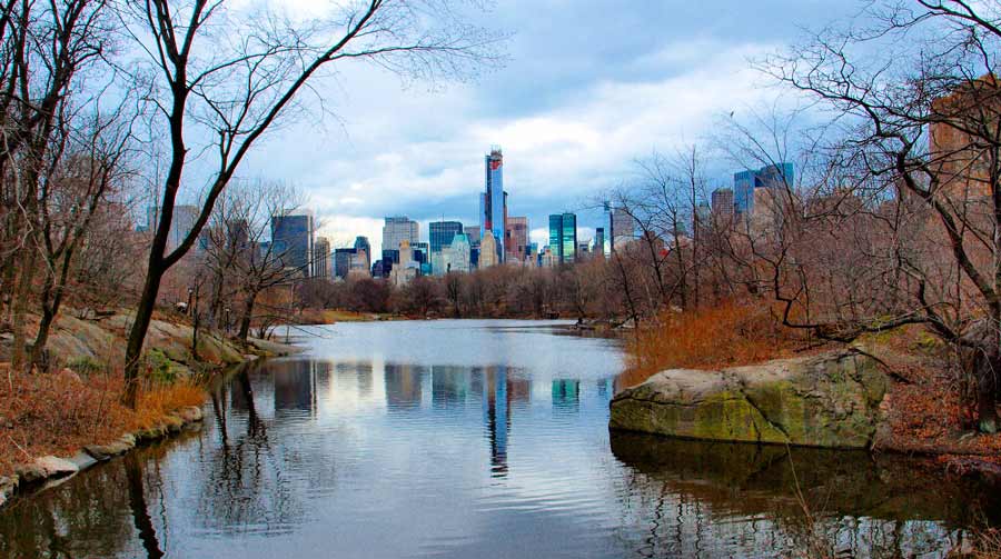 lagos central park new york