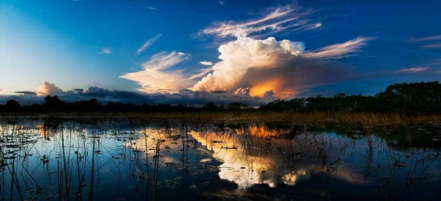 Parque Nacional de los Everglades