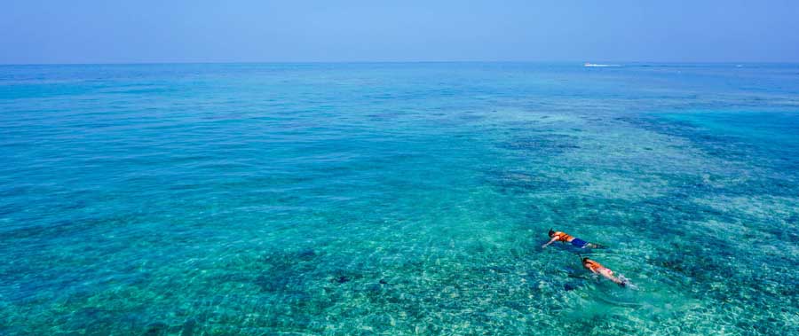 Snorkel en Akumal Playa del Carmen Riviera Maya